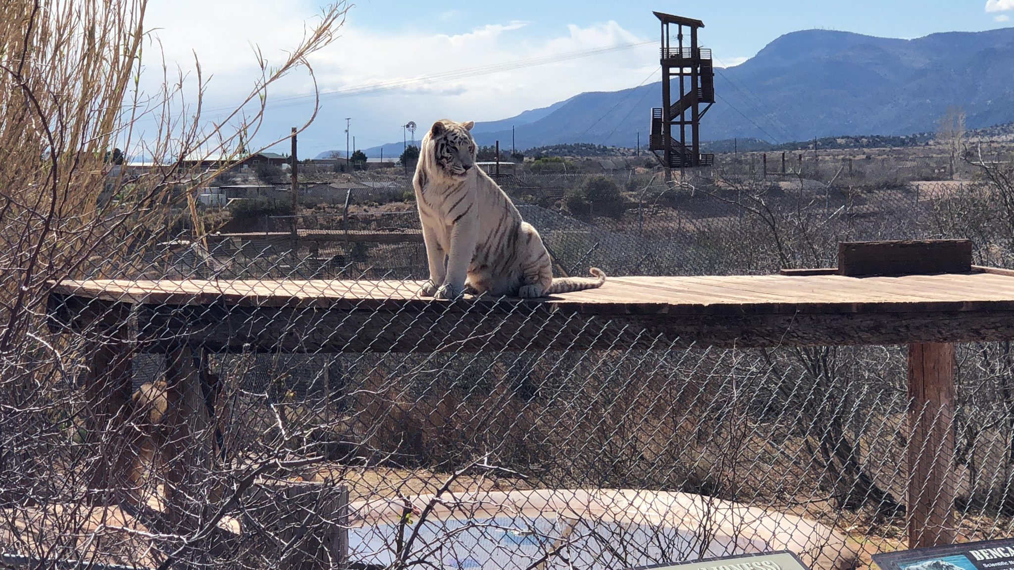 Sedona Arizona and Grand Canyon Family Vacation