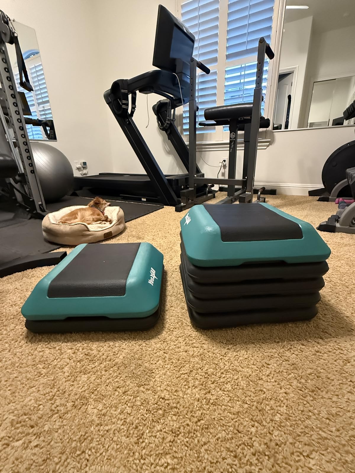 home gym essentials, home gym equipment, Amazon workout gear, women's activewear, workout clothes for women, Amazon sneakers, fitness essentials, resistance bands, workout accessories, home fitness equipment